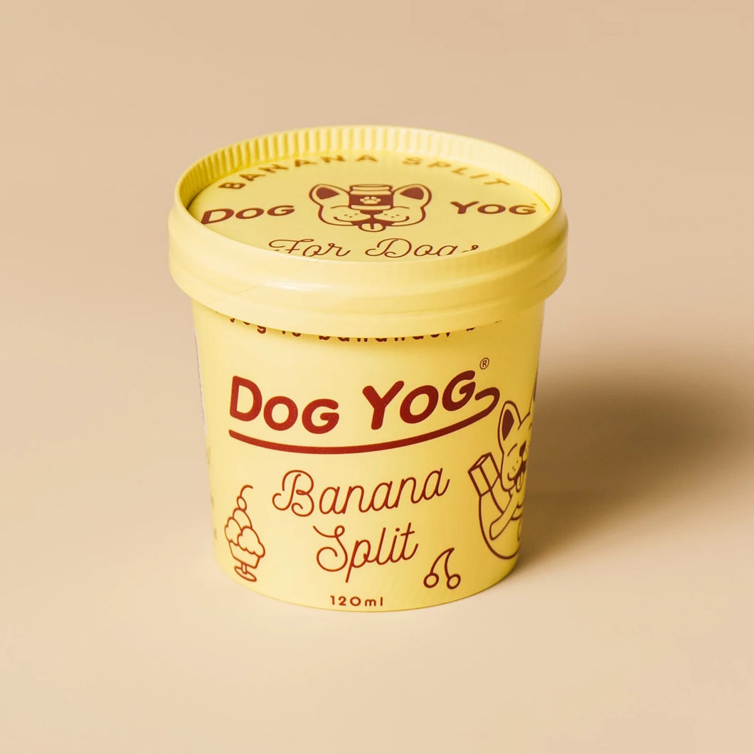 Dog Yog Banana Split (Pick-Up & Local Delivery Only)