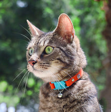 Load image into Gallery viewer, Kittyrama Cat Collar Saffron
