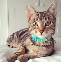 Load image into Gallery viewer, Kittyrama Cat Collar Meadow
