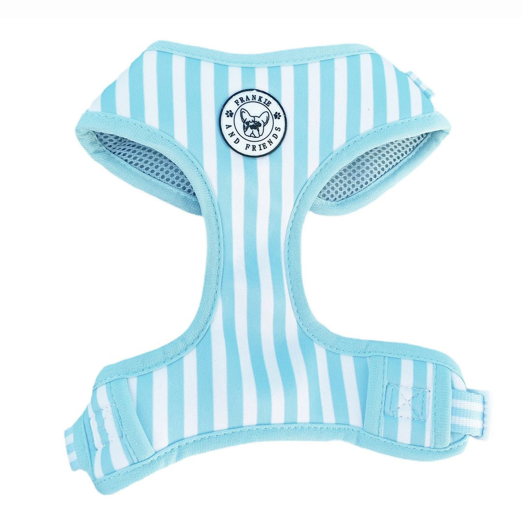 Blue Candy Stripe Harness