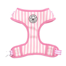 Load image into Gallery viewer, Pink Candy Stripes Harness
