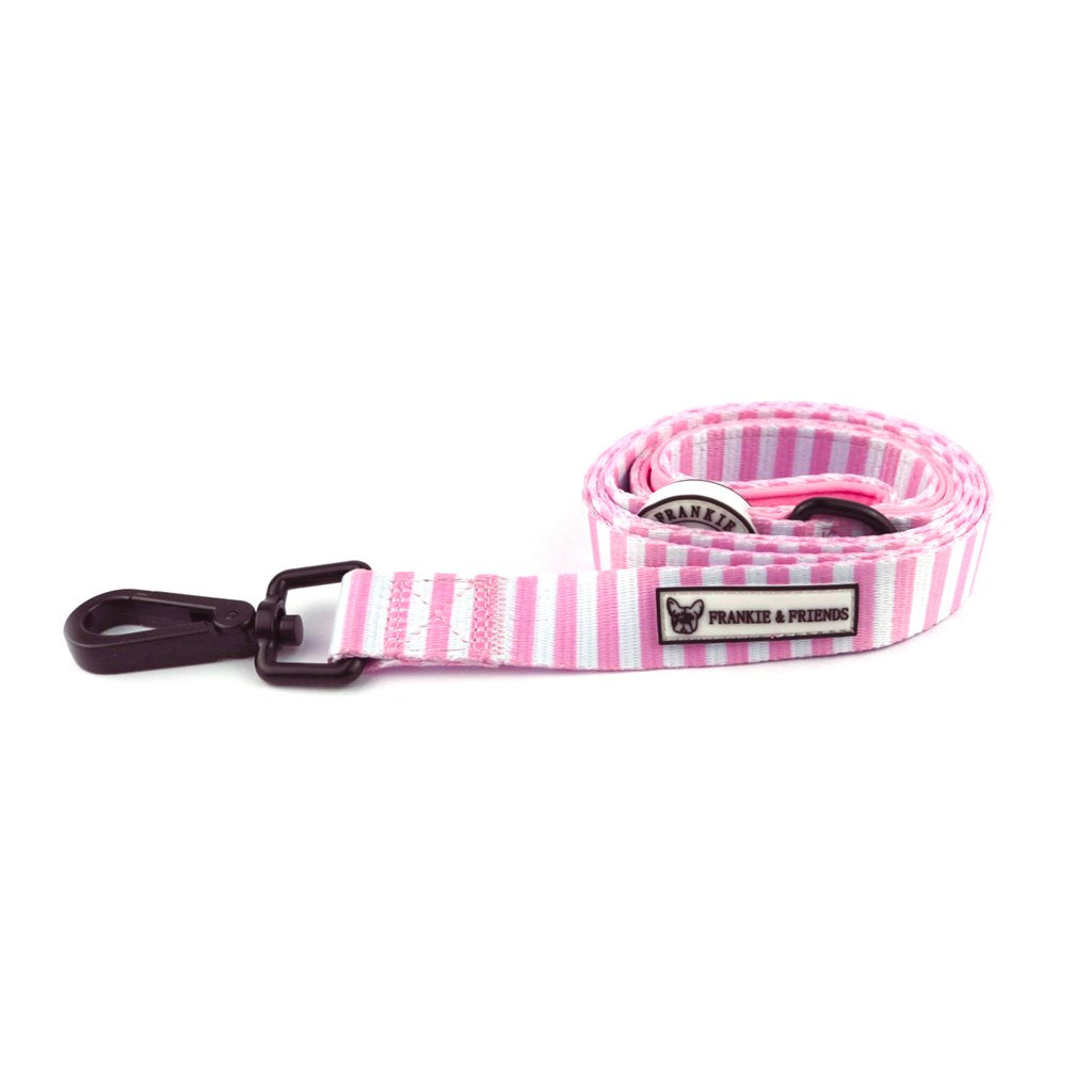 Pink Candy Stripe Lead