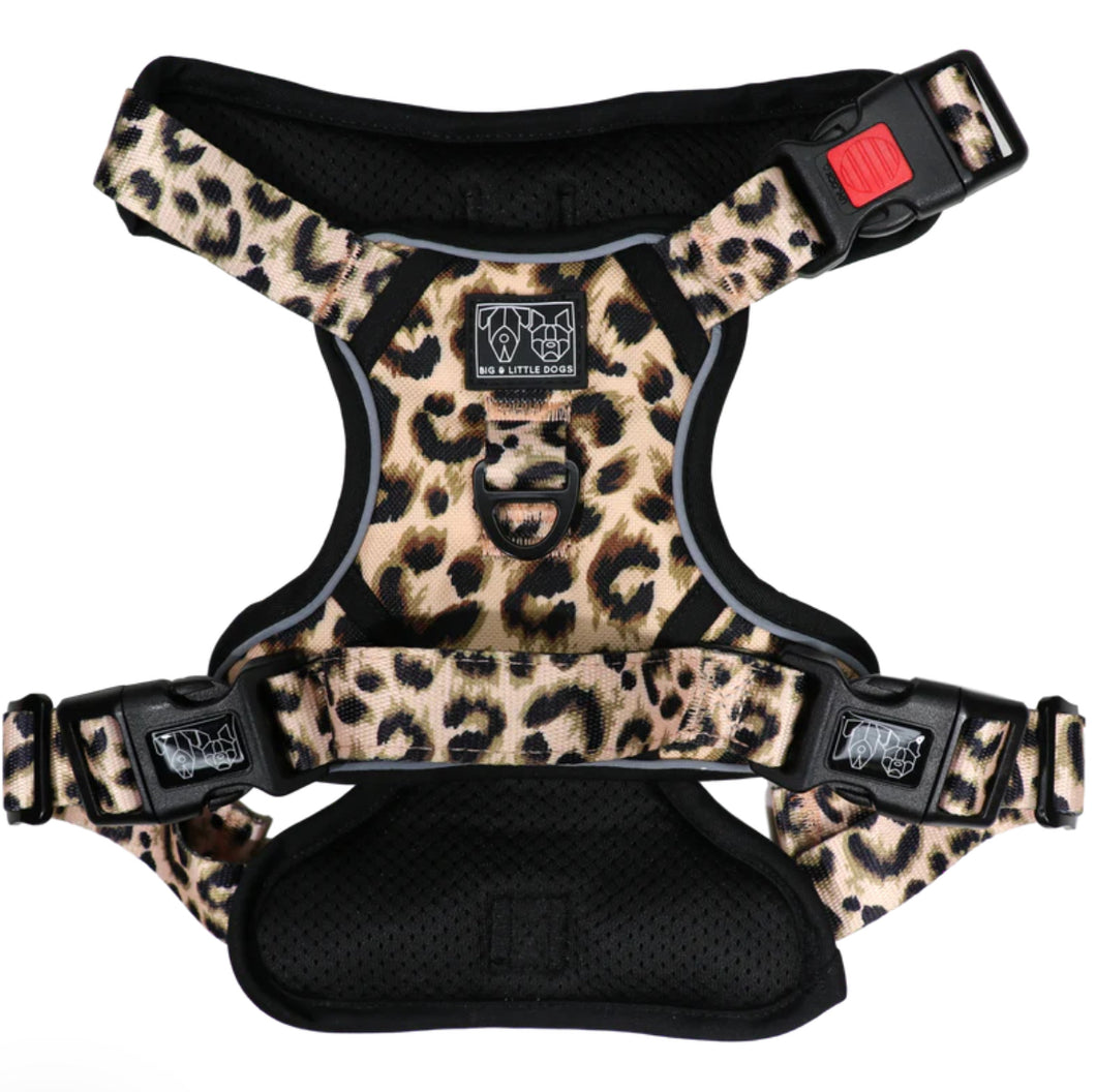 Luxurious Leopard Harness