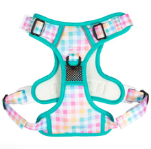 Load image into Gallery viewer, Rainbow Gingham Harness
