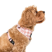 Load image into Gallery viewer, Chocolate Gingham Harness
