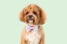 Load image into Gallery viewer, Rainbow Gingham Collar &amp; Bow
