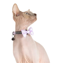 Load image into Gallery viewer, Little Kitty Co Berry Gingham Collar

