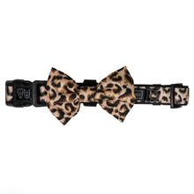 Load image into Gallery viewer, Luxurious Leopard Collar &amp; Bow
