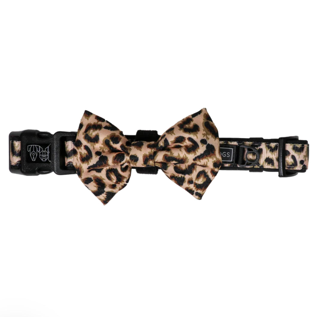 Luxurious Leopard Collar & Bow