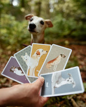 Load image into Gallery viewer, Calm Dog Card Games
