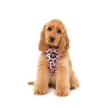 Load image into Gallery viewer, Pink Leopard Harness
