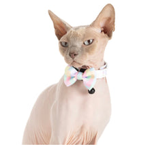 Load image into Gallery viewer, Little Kitty Co Gelato Collar
