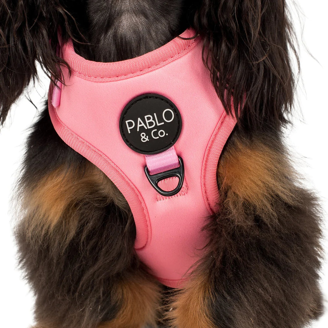 Cotton Candy Harness