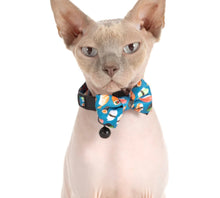Load image into Gallery viewer, Little Kitty Co Sushi Makes Miso Happy Collar
