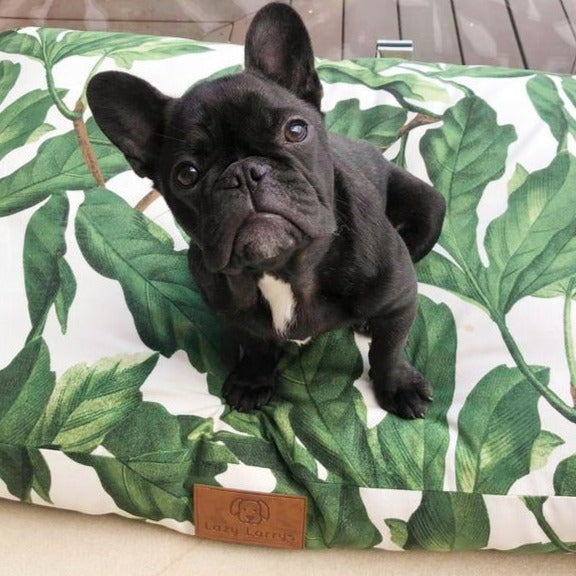 Penny & Me Dog Bed (Pick Up or Local Delivery Only)