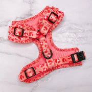Load image into Gallery viewer, Dog Harness- Blush Leopard
