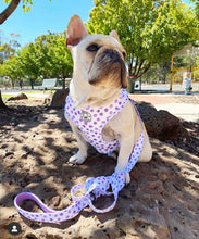 Load image into Gallery viewer, Wild About Purple Harness
